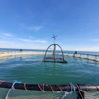 قفس پرورش ماهی دریای خزر|ماشینآلات صنعتی|تهران, حصار بوعلی|دیوار