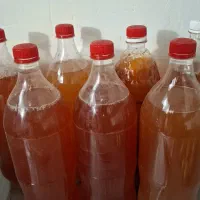 آبغوره طبیعی
