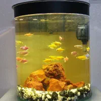 اکواریوم همراه با میز .بخاری پمپ و...