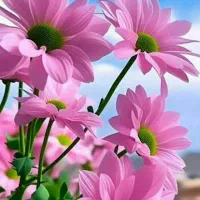 راهنمایی میکنم