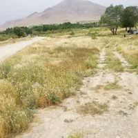 زمین باغی|فروش زمین و ملک کلنگی|زالیان, |دیوار