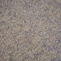 تخم علف|گل و گیاه طبیعی|بم, |دیوار
