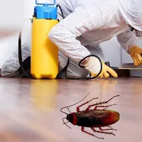 سمپاشی 100% تضمینی سم پاشی موش ساس سوسک موریانه