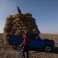 نیازمند 500 ملیون سرمایه