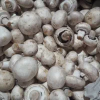 انارقارچ خرما پیارم خرمالو|خوردنی و آشامیدنی|یزد, |دیوار