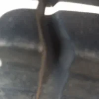 نیسان دیزل ۸۹ تمیز|خودرو سواری و وانت|صدرا-فارس, فاز ۲|دیوار