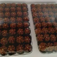 کیک و شیرینی خونگی تازه و خوشمزه در خمین|خوردنی و آشامیدنی|خمین, |دیوار