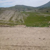 فروشندگان مدل ۸۳