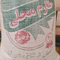 محصولی از شالیزارهای شمال