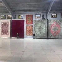 فرش/در عمده فروشی خلیج فارس1001 طوسی|فرش|شیراز, لاله|دیوار