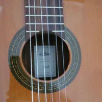 گیتارهای کلاسیک فلامنکو اکوستیک|گیتار، بیس، امپلیفایر|رفسنجان, |دیوار