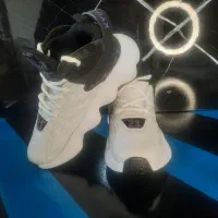 کتونی . کفش جردن ۲۳