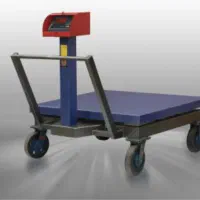 باسکول دو تنی