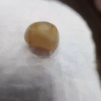 مهره فقط تا جمعه