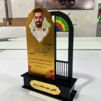 طراح مسلط به کرول