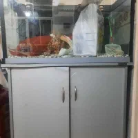 آکواریوم مارک