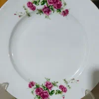 سرویس ۶ عددی بشقاب چینی زرین
