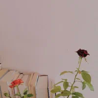 آموزش خصوصی زبان انگلیسی از مبتدی تا پیشرفته