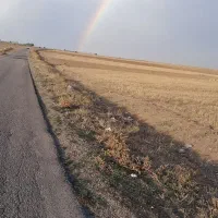 زمین بایر
