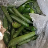 میوه فروشی حاجی ارزونی واقعی|خوردنی و آشامیدنی|شهریار, شهرک بهاران (ویره)|دیوار