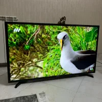 ال ای دی ۳۲ فیلیپس در حد اکبند