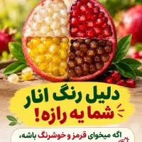 برنامه تغذیه تخصصی باغ انار ، خاک، ریشه و باردهی