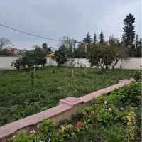 فروش زمین دربلوارمعلم (کازینو) رامسر