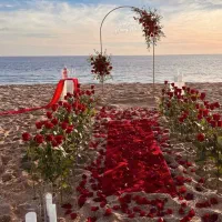 دکور ساحلی|خدمات پذیرایی، مراسم|آستارا, |دیوار