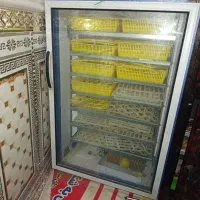 دستگاه جوجه کشی دماوند|لوازم جانبی حیوانات|هامون, |دیوار