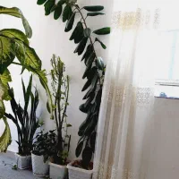 گلفروشی