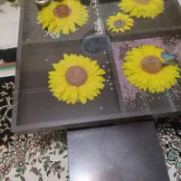 میز وسط ، جلو مبلی ، دارای چهار تا عسلی|مبلمان خانگی و میز عسلی|رودسر, |دیوار