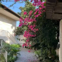 دنبال چه ویلایی هستی اینم فایل کاسبی باز دیگه چی|فروش خانه و ویلا|تهران, افسریه شمالی|دیوار