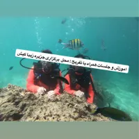 کار پاره وقت با درامد تمام وقت فضای مجازی خانگی|استخدام رایانه و فناوری اطلاعات|شیراز, سینما سعدی|دیوار