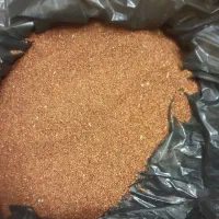 بذراکالیپتوس|گل و گیاه طبیعی|مرودشت, ژیان|دیوار