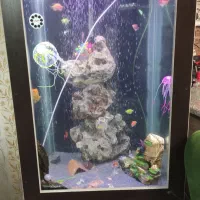 اکواریوم اب شیرین