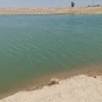 ماهیگیری