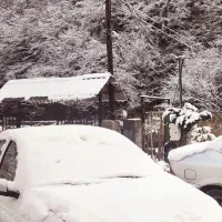 ساینا s1403 دوگانه فابریک