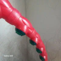 حلقه  ورزشی