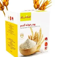 پودر جوانه گندم