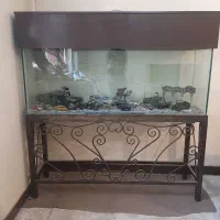 آکواریم بزرگ