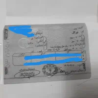 شناسنامه دختربچه بنام نورگل گم شده