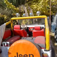 معاوضه ماشین با باغ شهری