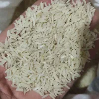 انواع برنج محلی و ایرانی