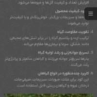 کود ۱۰۵۲۱۰ پرستیژ و مقداری سم|خدمات باغبانی و درختکاری|نیشابور, شهید جعفری|دیوار