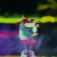 تولید محتوا / موزیک ویدیو / عکاسی و تیزر|خدمات پذیرایی، مراسم|تهران, زعفرانیه|دیوار