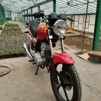 فروشی قیمت 80|موتورسیکلت|ایرانشهر, |دیوار