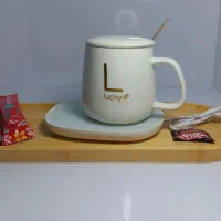 ماگ هیتردار با تخفیف ویژه|ظروف سرو و پذیرایی|کازرون, |دیوار