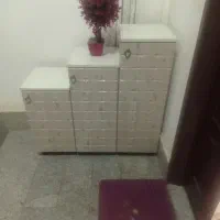 جاکفشی سه تایی یا سه قلو