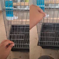 قفس ۱۰۲ تمام استیل