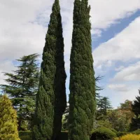 فروش زمین ۲۸۴ متری دو نبش کاربری مسکونی